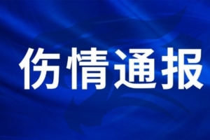 火爆韩国无插件对阵世界杯阿根廷进球集锦_火爆韩国无插件对阵世界杯阿根廷进球集锦在线观看_免费看直播