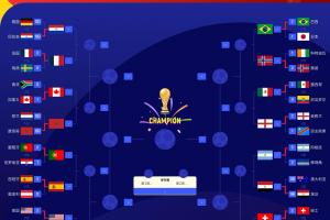 世界杯_刚果民主共和国vs乌兹别克斯坦-占1/4！南美6队踢世界杯：4队晋级16强，1队止步32强&1队小组出局