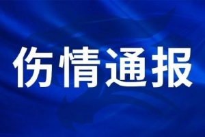 抗训练中手掌骨折，手术已顺利完成对决三镇球员刘奕鸣在日常jrs直播_抗训练中手掌骨折，手术已顺利完成对决三镇球员刘奕鸣在日常jrs直播在线观看_免费看直播