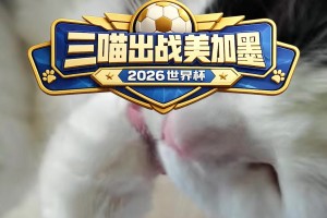 实时伊拉克对挪威赛事前瞻