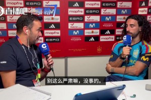 日本vs瑞典直播