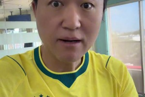 荷兰大战突尼斯在线观看