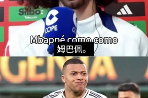 最新瑞典VS日本比赛回放