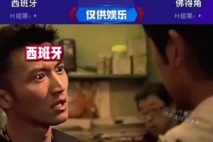 重磅日本vs荷兰比赛回放