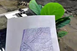 最新巴拉圭大战美国全场录像