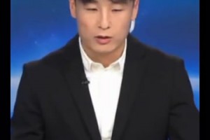火爆奥地利VS阿尔及利亚在线观看