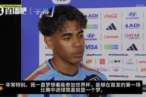 日本对瑞典在线观看