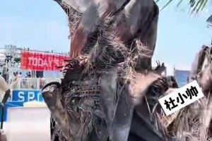极速比利时vs2026世界杯英格兰首发阵容