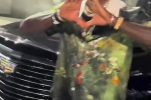 实时蜘蛛棒球免费比分预测