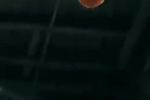 今日蜘蛛NBA超清低调看直播